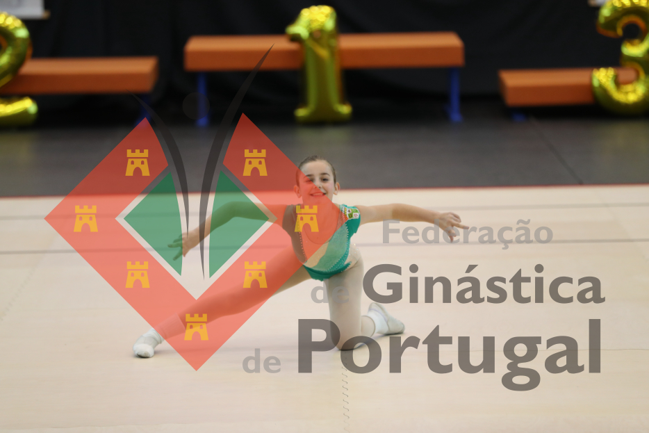 1027_Taça de Portugal AER